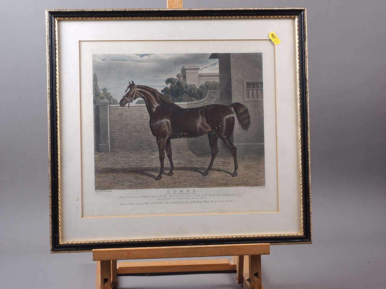 After J F Herring: coloured aquatint, study of a racehorse, "Comus", in Hogarth frame