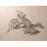 Frances Fry: print, study of three foxes, in wooden strip frame, after Cooper: a pair of prints,