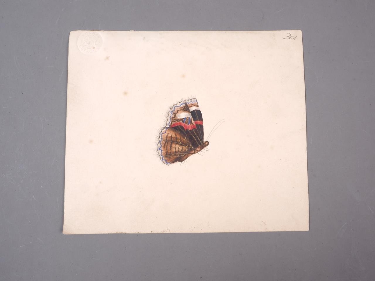 A 19th century watercolour of a butterfly, Thomas Creswick, blind stamp upper left, 6 1/2" x 6", - Image 2 of 2