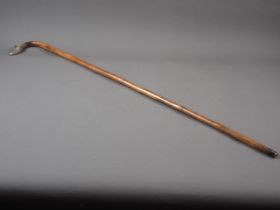 A walking stick with Continental white metal handle, formed as a swan's head with glass eyes, 36"