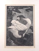 Charles Tunnicliffe: a signed wood engraving, goose, 12 1/4" x 18 1/4", in ebonised strip frame