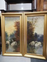 Phil Adams: a pair of oils on canvas, river scenes with swans, 33" by 13 1/2", in gilt frames