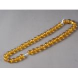 A yellow amber bead necklace, beads 15.5mm dia approx, 66g approx