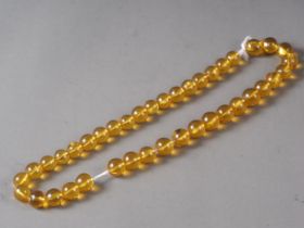 A yellow amber bead necklace, beads 15.5mm dia approx, 66g approx