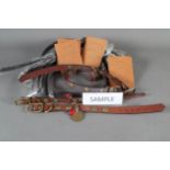 A quantity of leather and brass studded dog collars with signs of the zodiac, four pet passports,