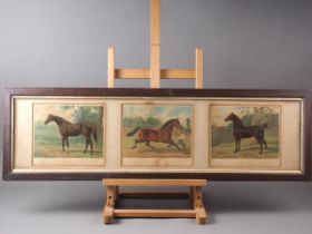 Three 19th century prints, studies of racehorses, "Truefit", "Sultan" and "Beau Lyons", in oak strip