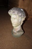A cast stone head, after Michelangelo's David, 17" high