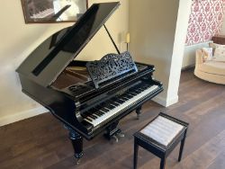 Gebruder Knake Baby Grand Piano - Collection from LU7