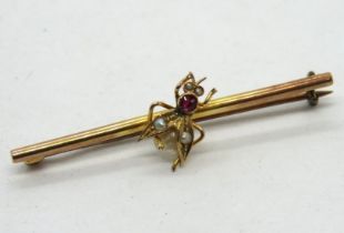 An antique bug brooch, the insect having pearl and ruby body with seed pearl wings and eyes,