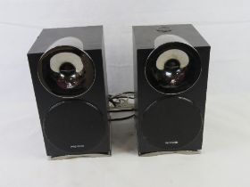 A pair of Microlab speakers.
