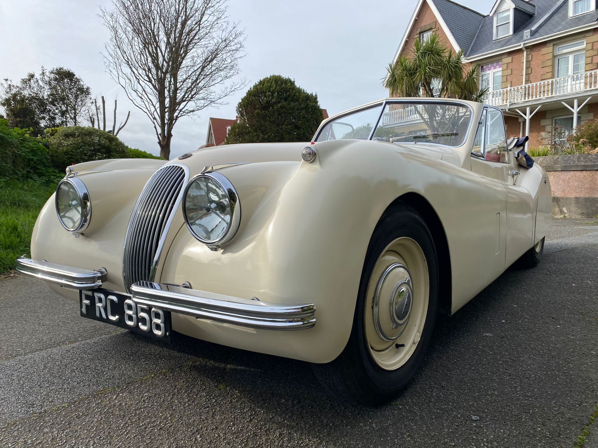 Jaguar XK120 1954