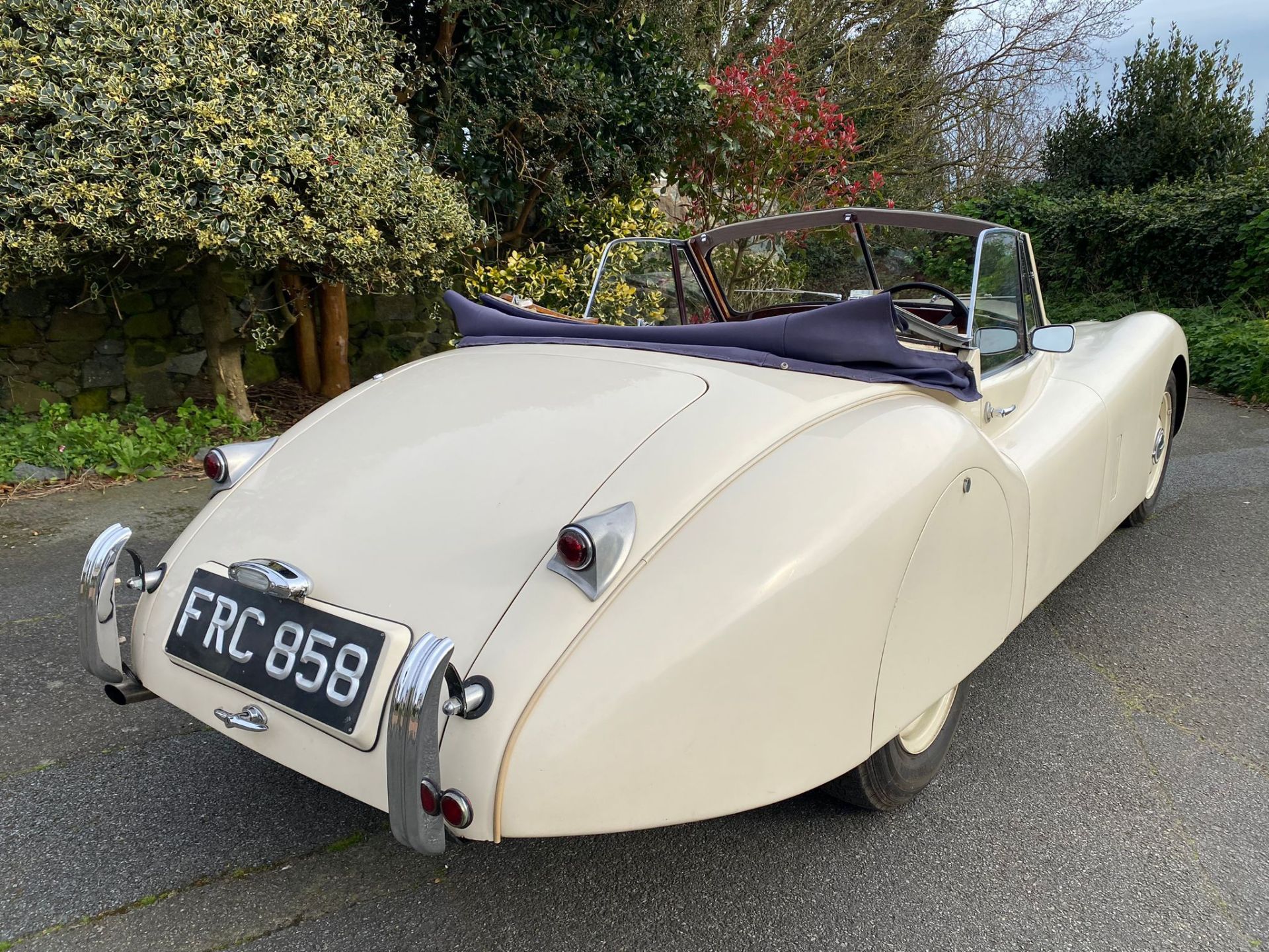 Jaguar XK120 1954 - Image 3 of 32