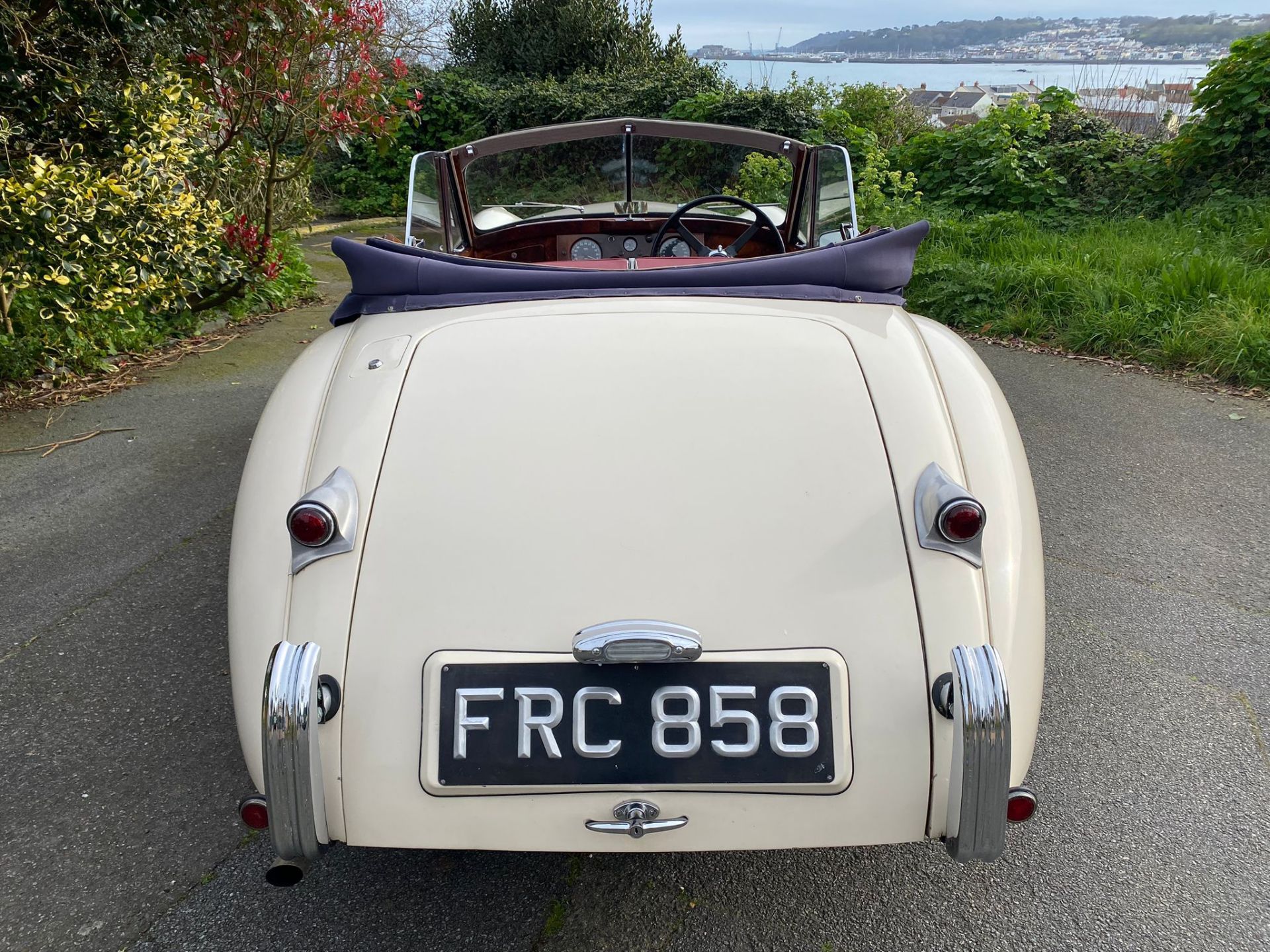 Jaguar XK120 1954 - Image 6 of 32