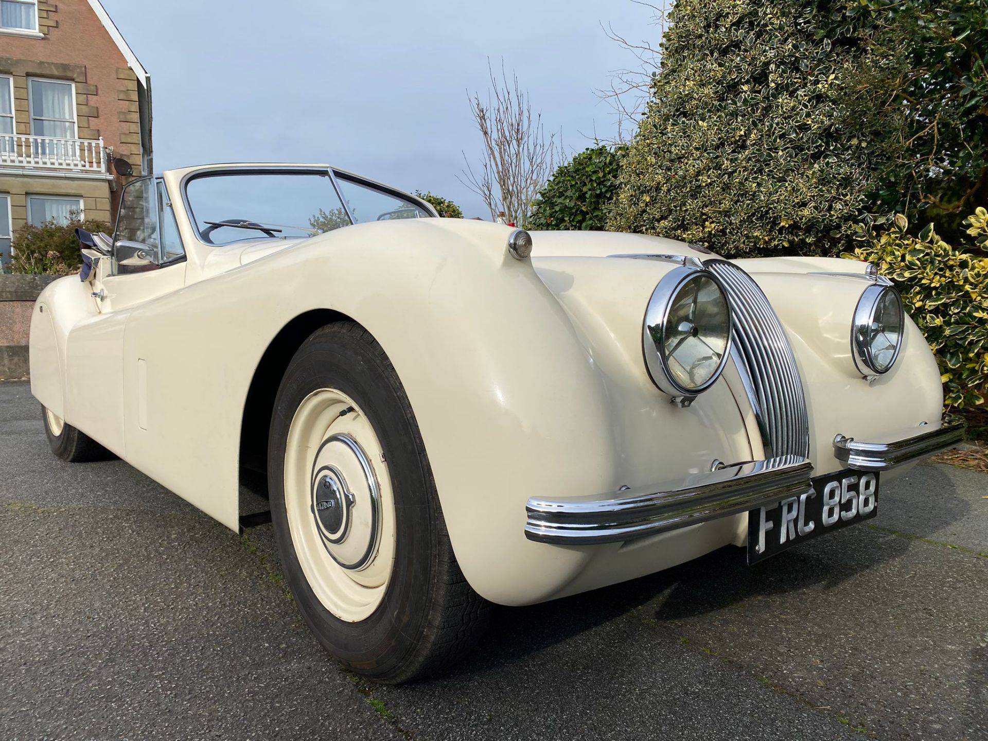 Jaguar XK120 1954 - Bild 2 aus 32