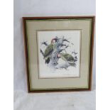 A signed limited edition print of Green Woodpeckers by Ronald Beavan, 3/300, framed and glazed,