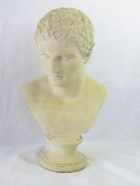 A large and heavy Haddonstone bust of a classical male, 20" high (50cm).