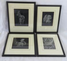 A set of four black and white nature prints in frames. Various sizes approx 28 x 22cm each.