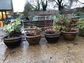 TWO PAIRS OF LARGE YELLOW AND BROWN DECORATED TERRACE PLANTERS.