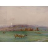 WALTER H. ALLCOTT (1880-1951). EVENTIDE, CATTLE GRAZING IN A MEADOW. WATERCOLOUR, SIGNED AND DATED