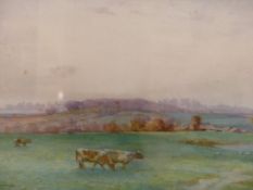 WALTER H. ALLCOTT (1880-1951). EVENTIDE, CATTLE GRAZING IN A MEADOW. WATERCOLOUR, SIGNED AND DATED