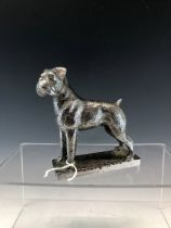 A CHROMED METAL CAR BONNET MASCOT IN THE FORM OF A STANDING BOXER DOG.