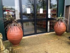 A LARGE PAIR OF TERRACOTTA COLOURED COMPOSITE OIL JARS EACH PLANTED WITH CORDYLINE PALM.