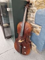 A CELLO, THE BACK. 65cms