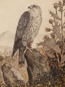BRITISH SCHOOL (20TH CENTURY), STUDY OF A BIRD OF PREY ON A ROCK IN A MOUNTAIN LANDSCAPE,