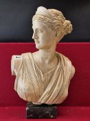 A PLASTER CLASSICAL BUST OF A LADY FACING OVER HER RIGHT SHOULDER AND SUPPORTED ON A MOTTLED BLACK