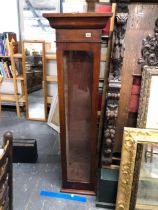 A VICTORIAN MAHOGANY TALL GLAZED UPRIGHT GUN CABINET