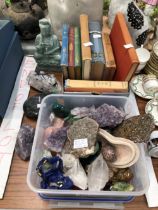 A QUANTITY OF FOSSIL, CRYSTALS ETC, AND A SMALL SECTION OF BOOKS