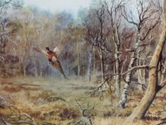 AFTER ROGER MCPHAIL (B.1953), ARR, TWO SIGNED LIMITED EDITION PRINTS, ONE OF A PHEASANT IN WOODLAND,