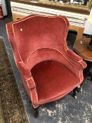 AN EARLY 20th C. PINK VELVET UPHOLSTERED TUB ARMCHAIR WITH MAHOGANY LEGS ON WHITE CERAMIC CASTER