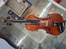 A CASED VIOLIN, THE BACK. 35cms
