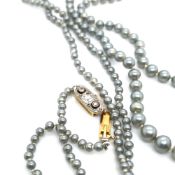 A ROPE OF GRADUATED GREY CULTURED PEARLS, KNOTTED INBETWEEN, COMPLETE WITH AN OLD CUT DIAMOND SET