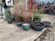 VARIOUS TERRACOTTA AND GLAZED PATIO PLANTERS, SOME CONTAINING SHRUBS.