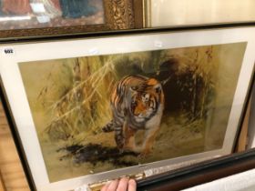 LARGE LEONARD PEARMAN PRINT OF A BENGAL TIGER.