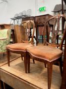A PAIR OF ANTIQUE CONTINENTAL ELM NEO CLASSIC STYLE CHAIRS (2)