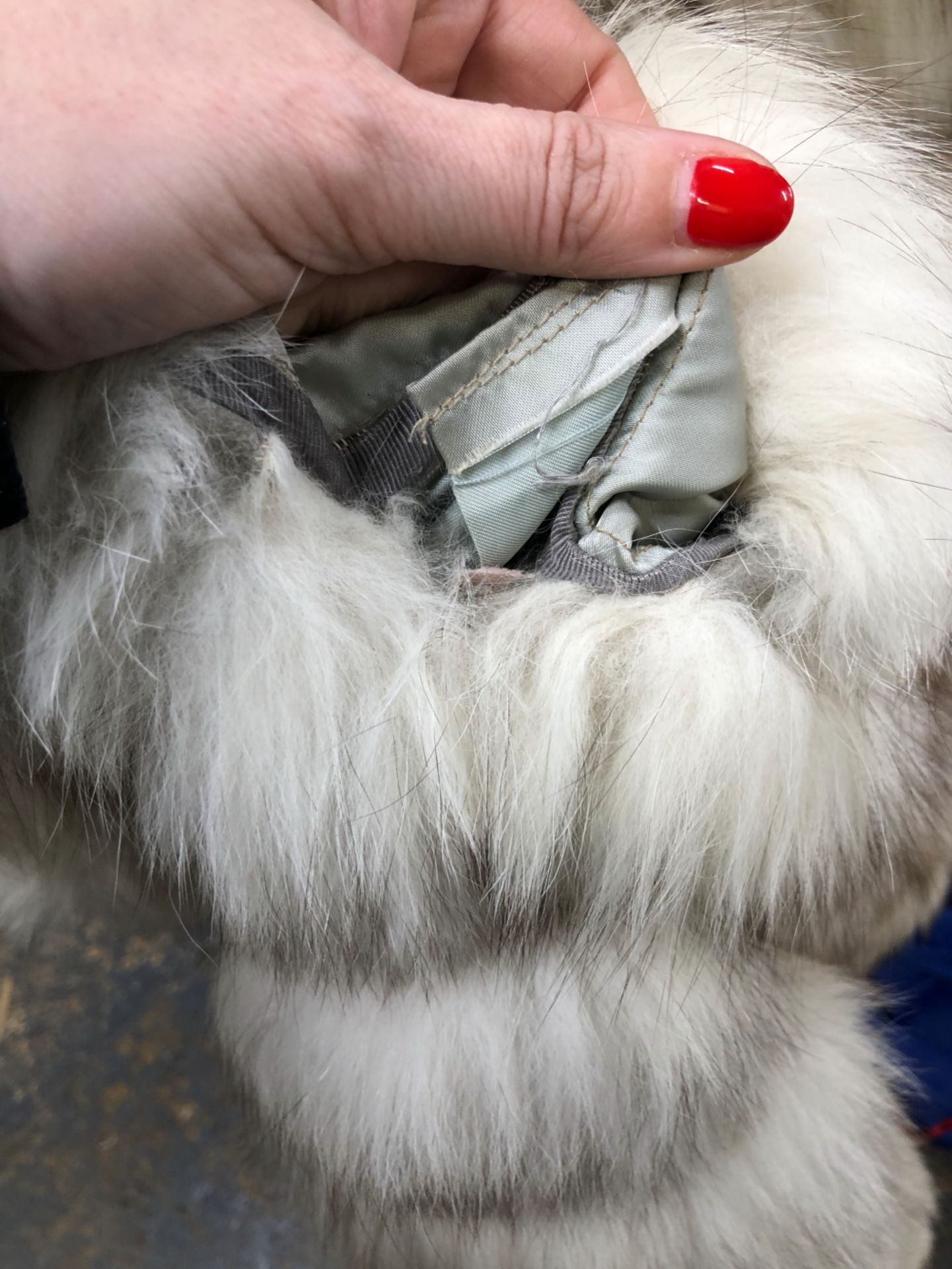 FUR COAT: EMILIO GUCCI, WHITE WITH HORIZONTAL GREY TINGED BANDS, WITH ZIPPED BAND TO ADJUST THE - Image 11 of 17