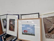 ROSY BURKE, NINE FRAMED AND PENCIL SIGNED PHOTOGRAPHIC IMAGES