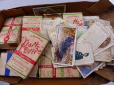 A COLLECTION OF VINTAGE PARK DRIVE AND OTHER CIGARETTE CARDS.