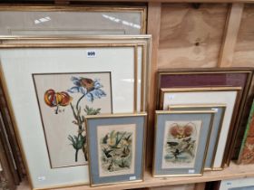 TEN VARIOUS COLOUR PRINTS, FLORA, FAUNA SUBJECTS.