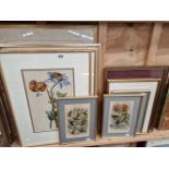 TEN VARIOUS COLOUR PRINTS, FLORA, FAUNA SUBJECTS.