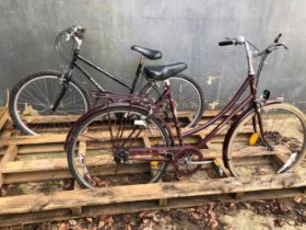 A RALEIGH CAMEO LADIES BICYCLE TOGETHER WITH A DAWES WATOGA BICYCLE.