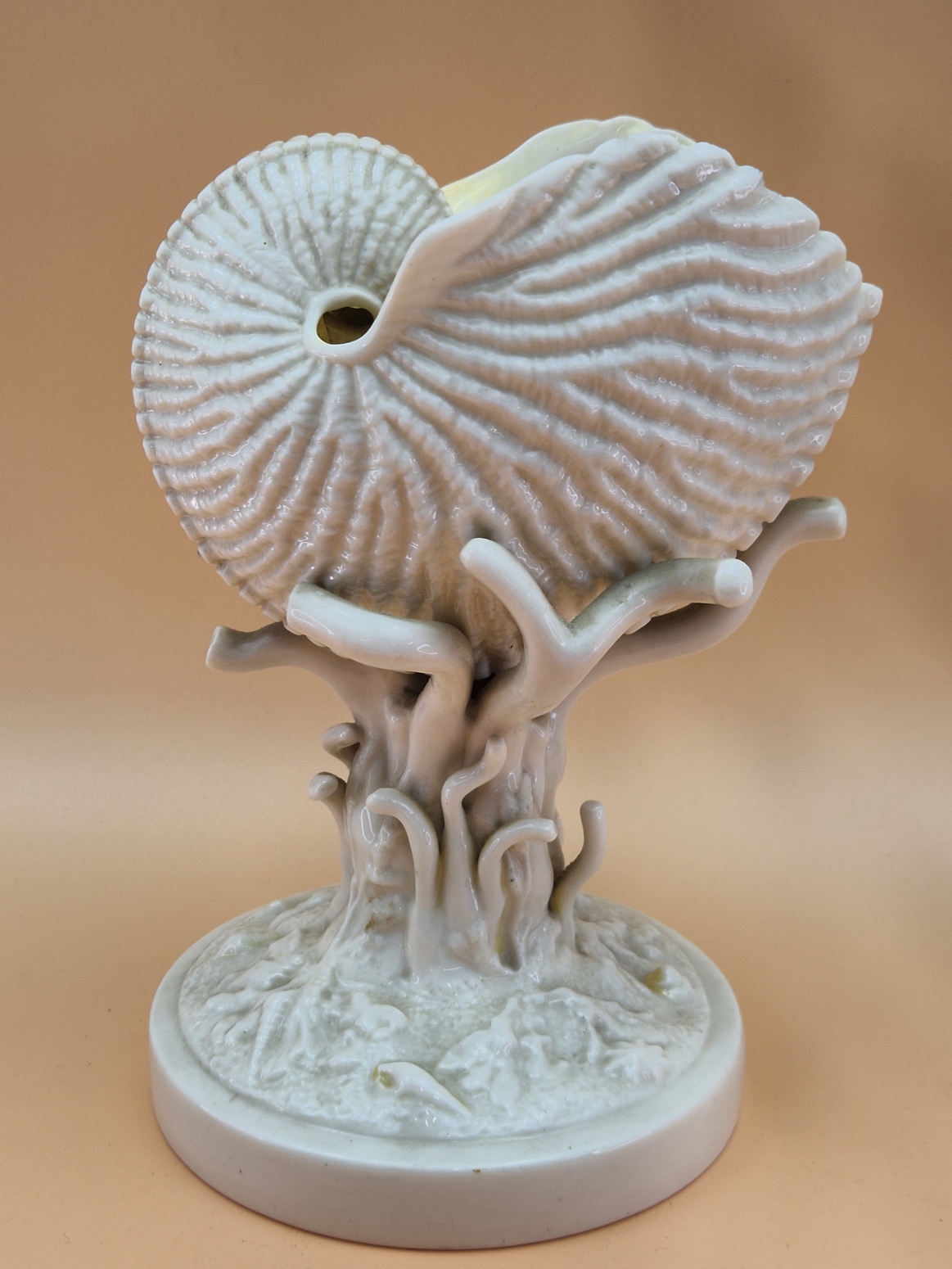 A LATE 19th C. BELLEEK PORCELAIN NAUTILUS SHELL RAISED ON A CORAL COLUMN FROM A SHELL STREWN - Image 4 of 5