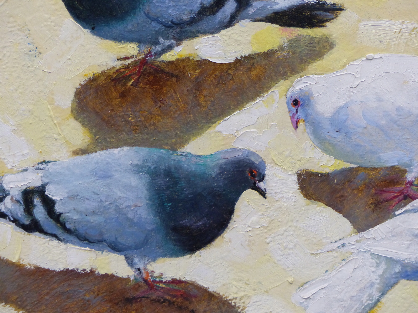 OLIVA (20TH CENTURY) ARR, PIGEONS AND DOVES, SIGNED AND DATED 72, OIL ON BOARD, 69 x 52.5cm - Image 4 of 6