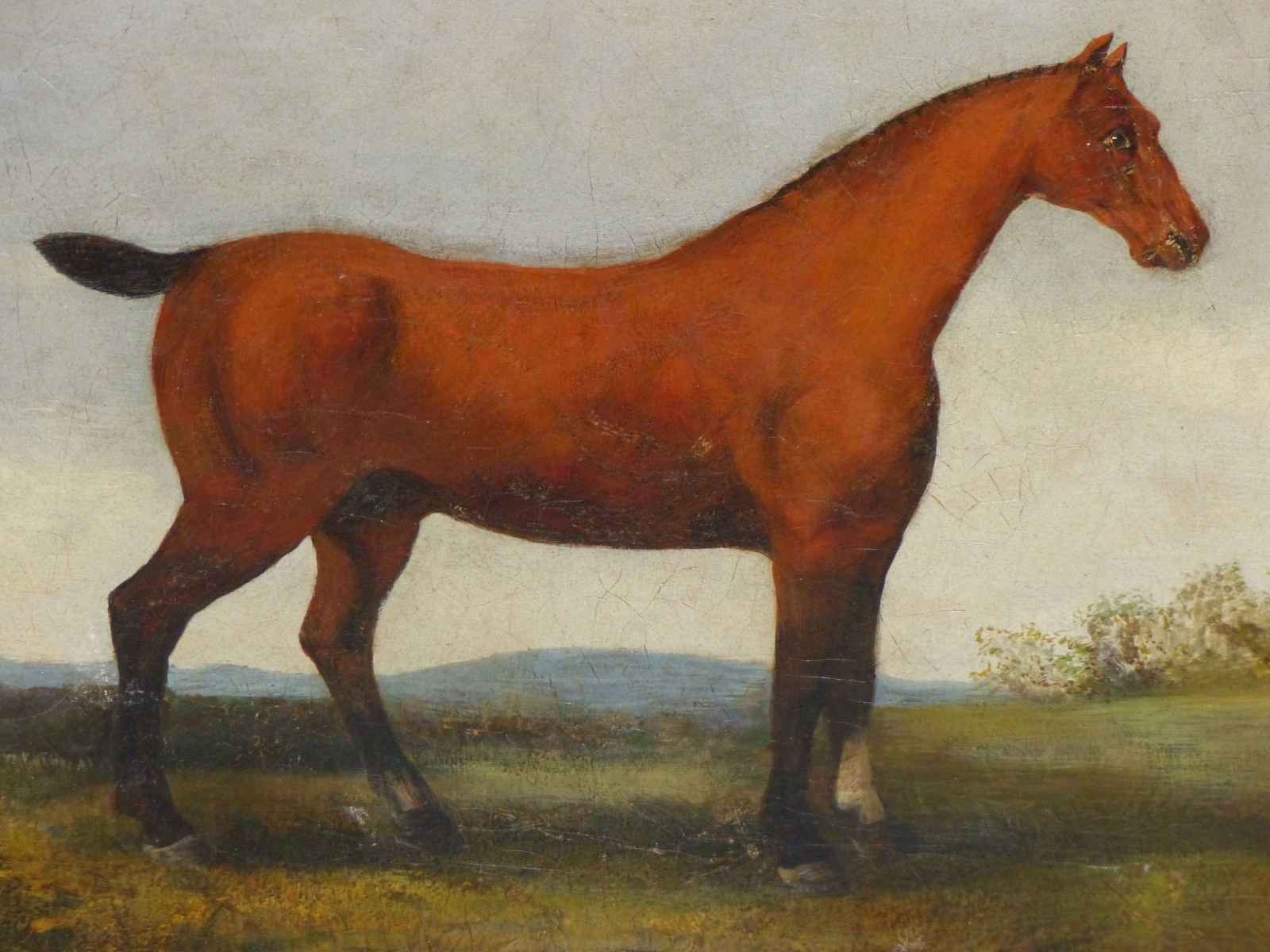19TH CENTURY NAIVE SCHOOL, BAY HORSE IN AN EXTENSIVE LANDSCAPE, OIL ON CANVAS (RELINED), 74 x - Image 3 of 8