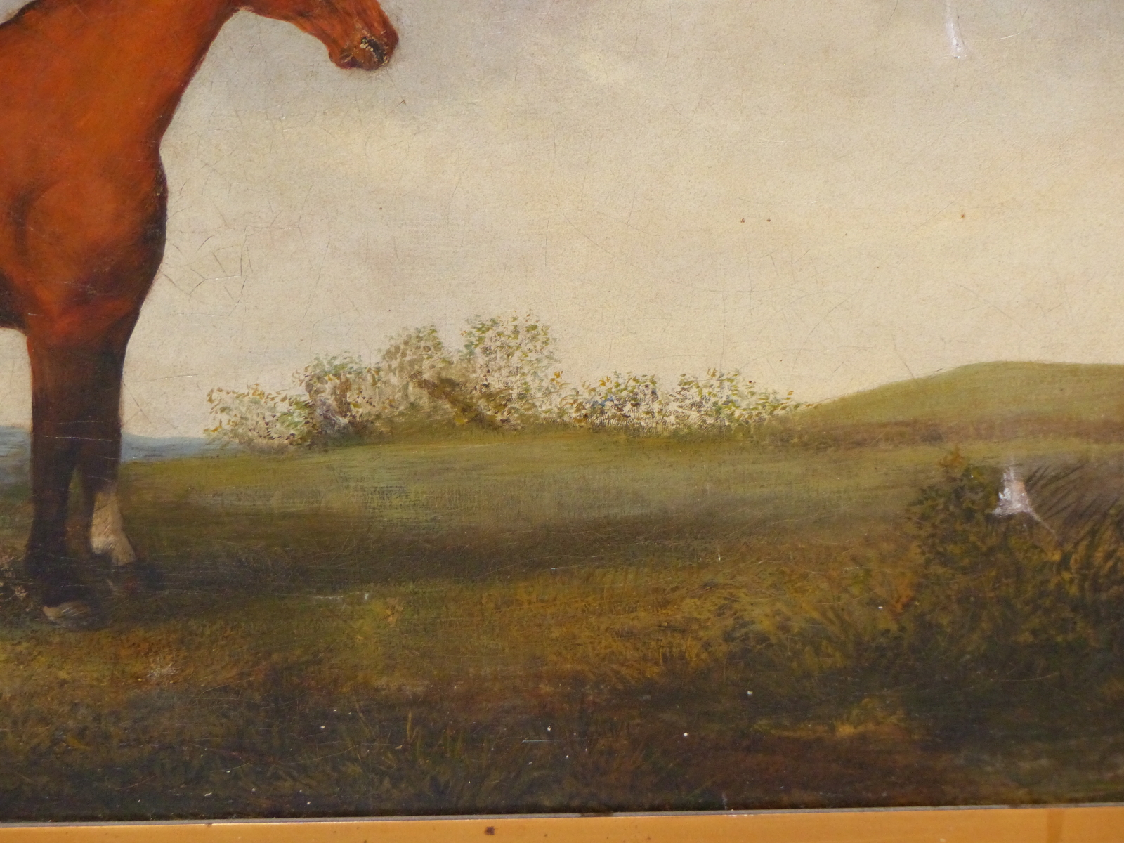 19TH CENTURY NAIVE SCHOOL, BAY HORSE IN AN EXTENSIVE LANDSCAPE, OIL ON CANVAS (RELINED), 74 x - Image 4 of 8