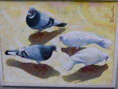 OLIVA (20TH CENTURY) ARR, PIGEONS AND DOVES, SIGNED AND DATED 72, OIL ON BOARD, 69 x 52.5cm