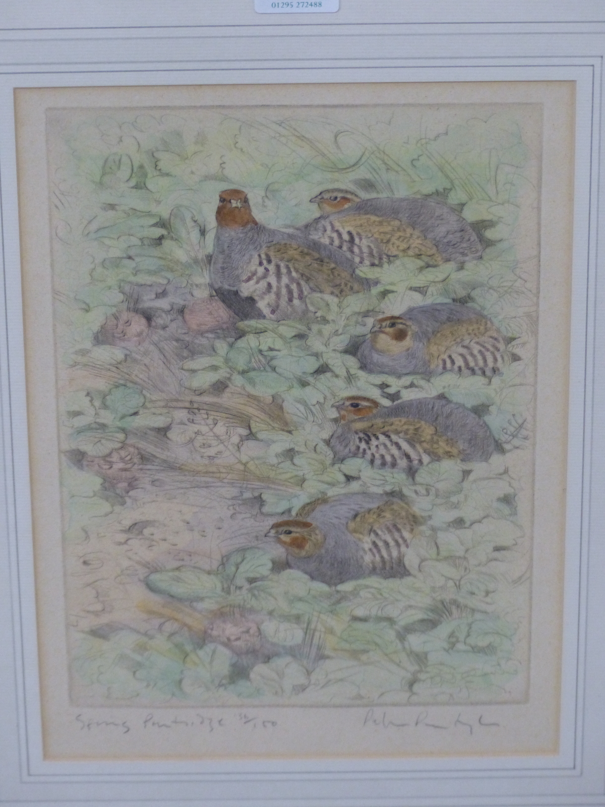 PETER PARTINGTON (B.1941) ARR, SPRING PARTRIDGE, SIGNED, TITLED AND NUMBERED 136/150 IN PENCIL, - Image 2 of 6